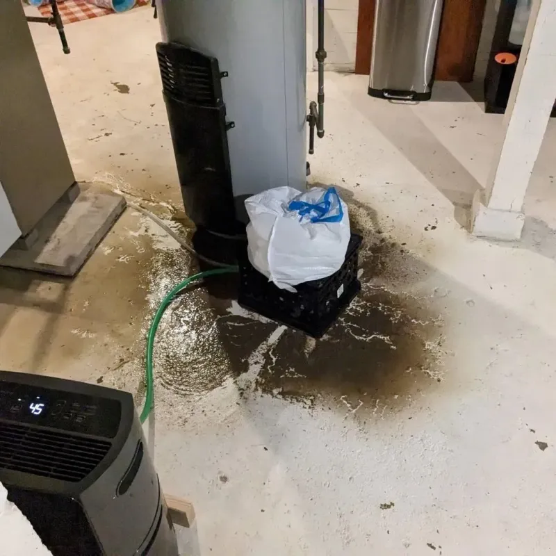 Sewage Backup Cleanup Service in Hendersonville, TN